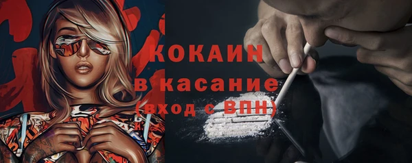 молекула духа Аша