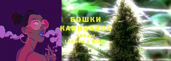 крисы Ахтубинск