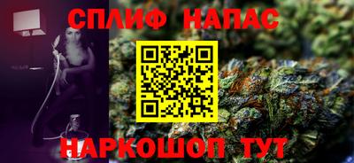шишки Будённовск