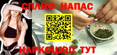 прущие грибы Кандалакша