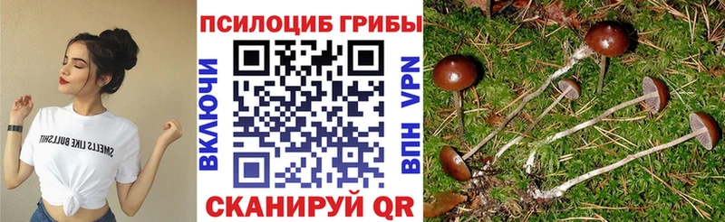 Псилоцибиновые грибы GOLDEN TEACHER кракен сайт Железноводск