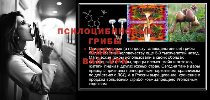 Галлюциногенные грибы Magic Shrooms  ссылка на мегу вход  Железноводск 