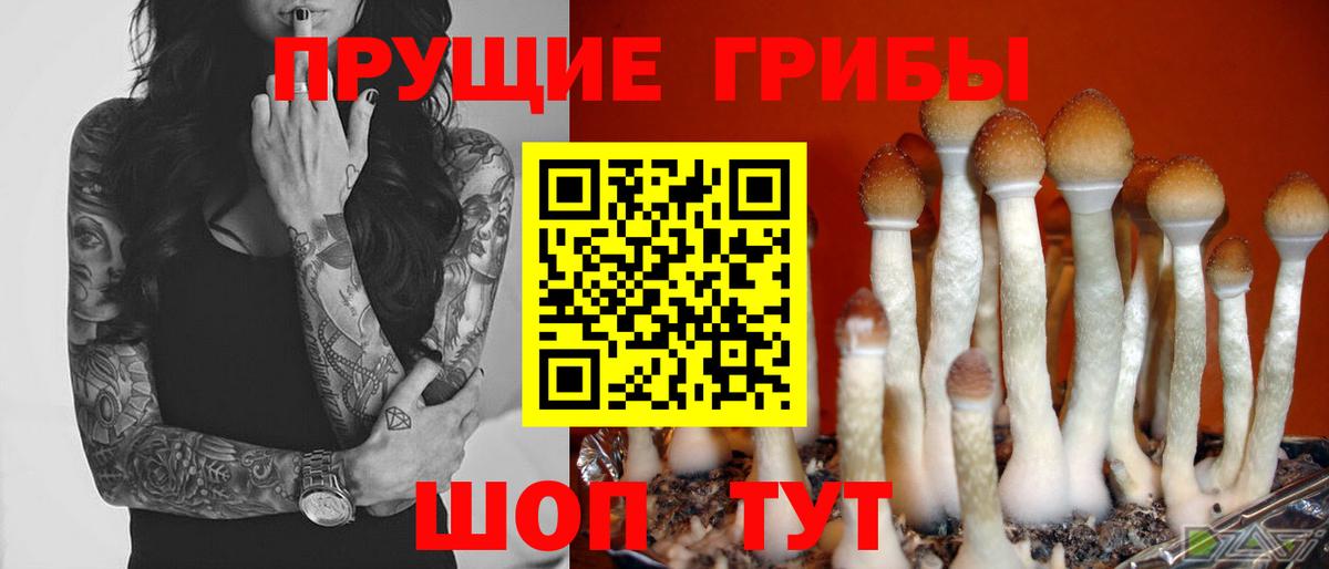 Галлюциногенные грибы ЛСД Железноводск