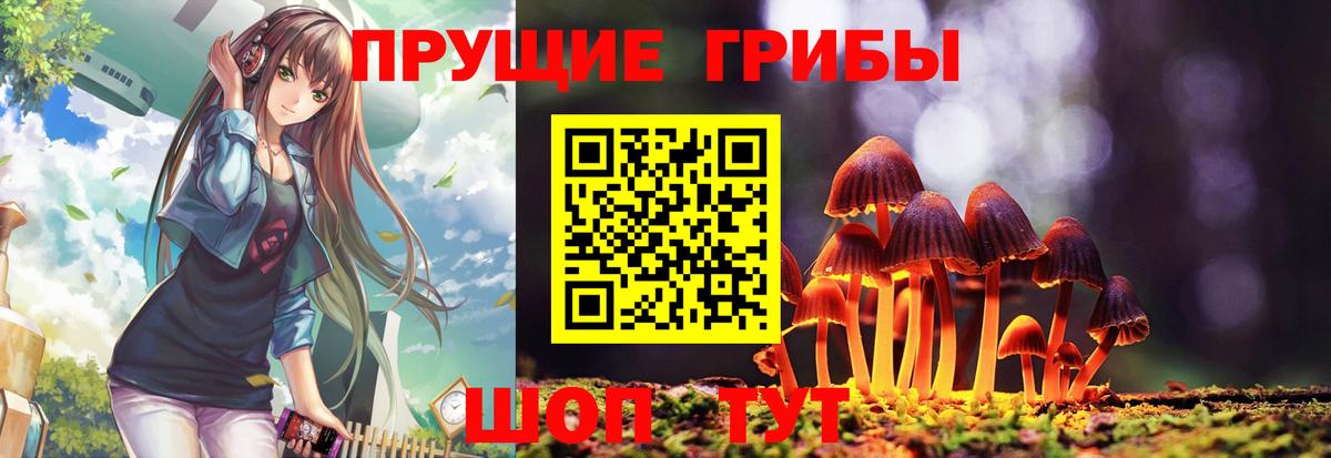 Псилоцибиновые грибы Psilocybe  Вход с VPN  Железноводск 